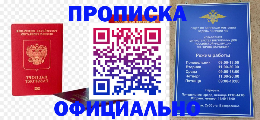 прописка иностранных граждан в Александровске